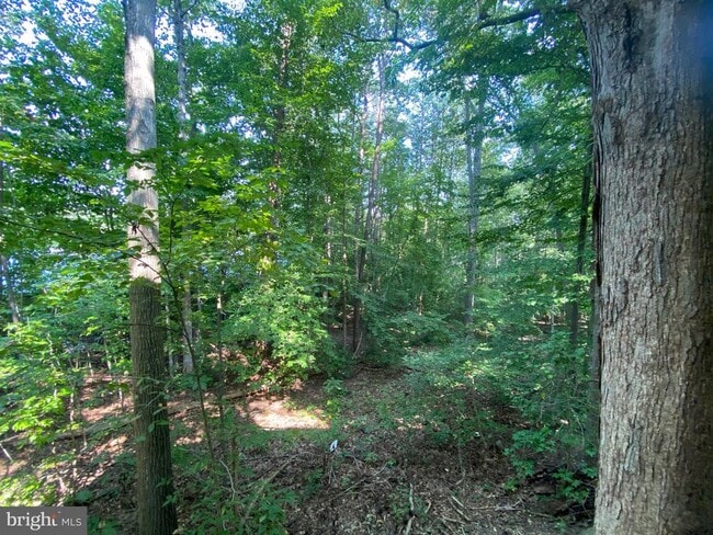 Building Photo - 4115 Corbin Hall Ln