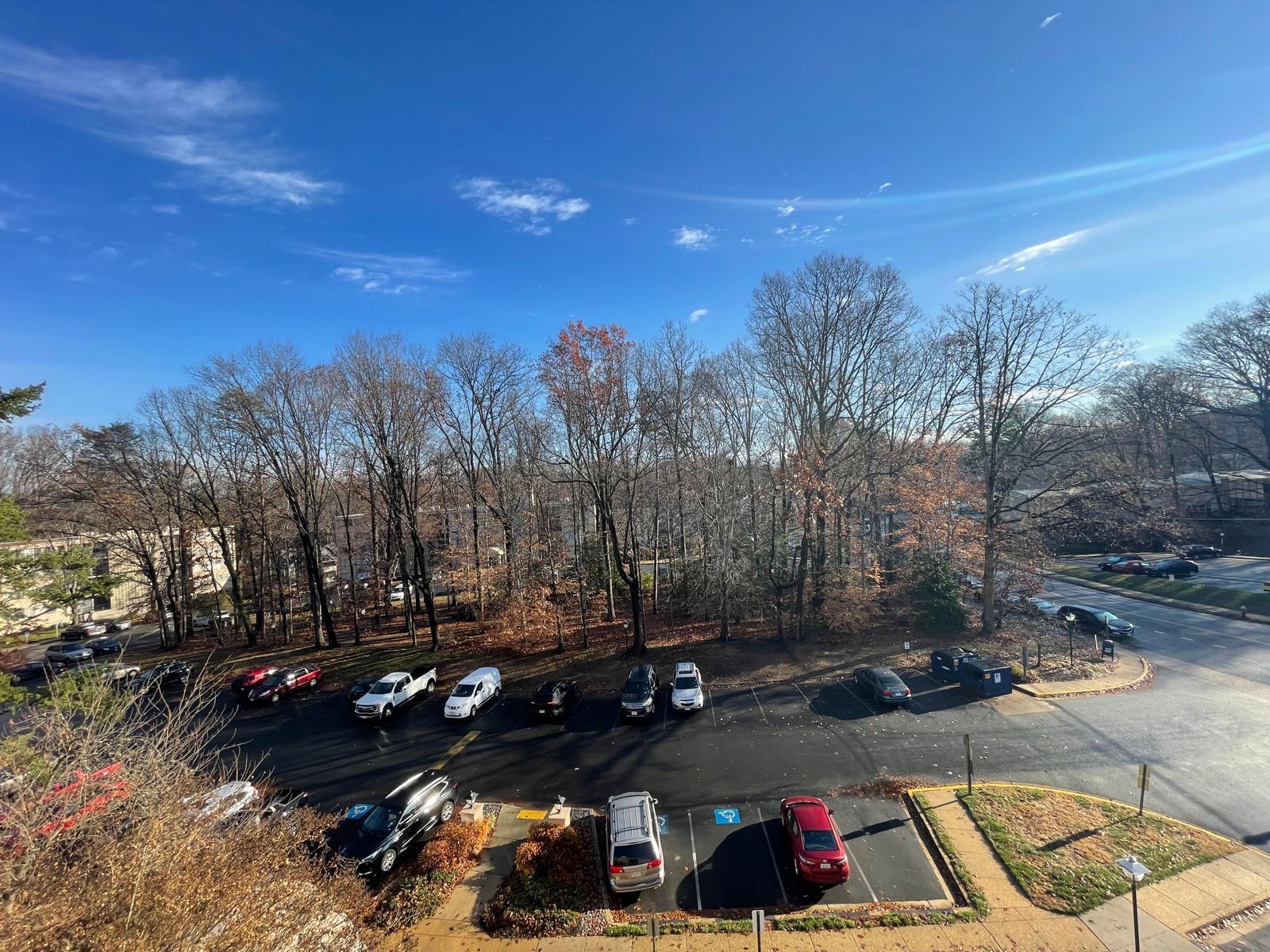 Balcony View 1 - 4360 Ivymount Ct