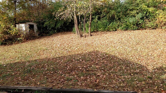 Building Photo - 10202 Beacon Ave