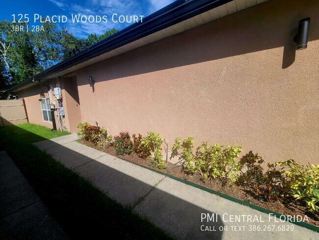 Building Photo - 125 Placid Woods Ct