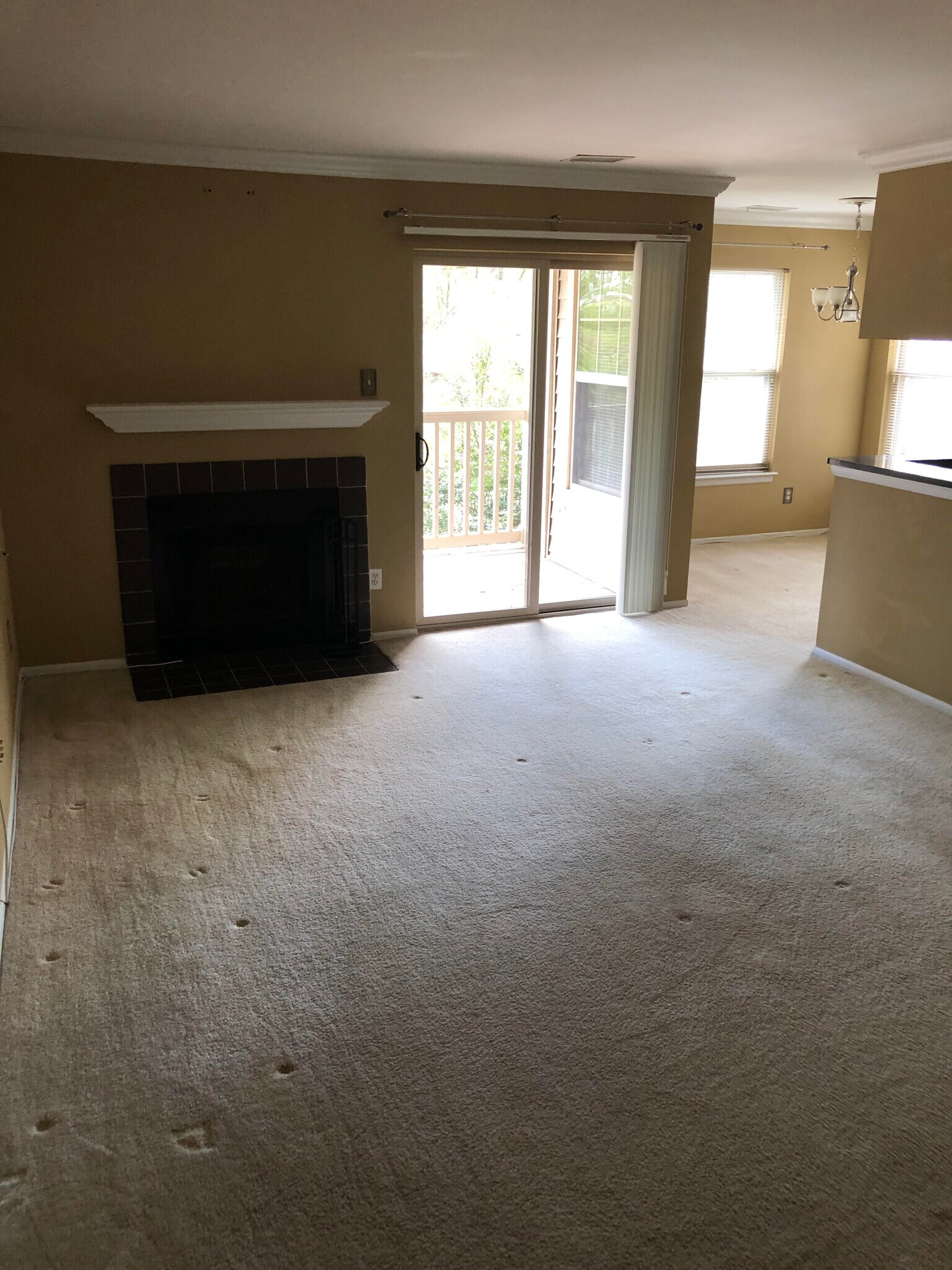 Building Photo - 11704 Olde English Dr