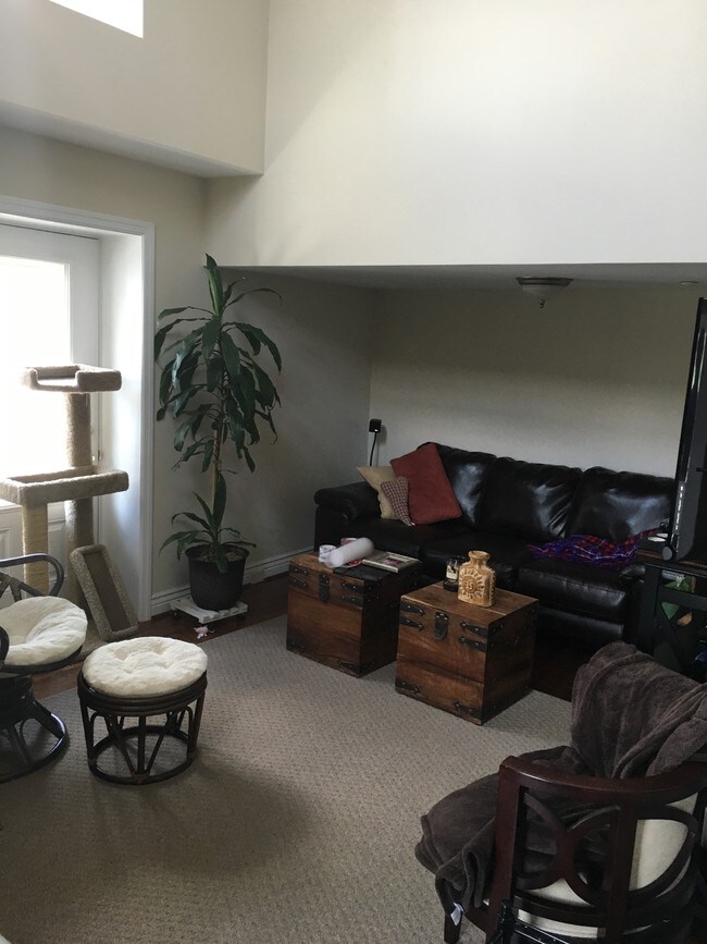 Finished unit 402 - living room - 37 S Prospect St