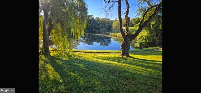 Building Photo - 25 Abel Pl