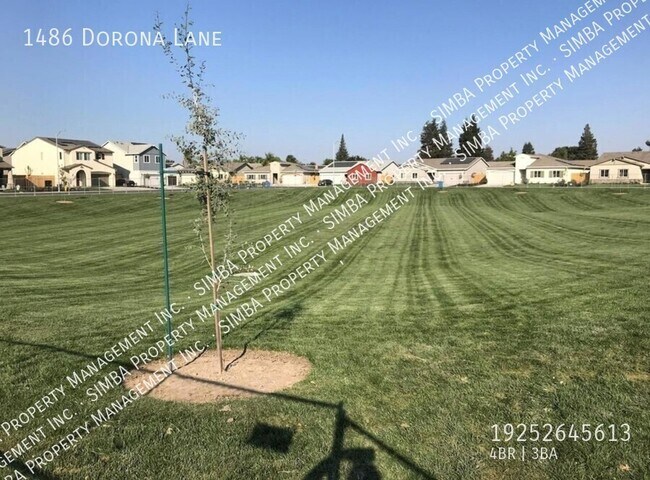 Building Photo - 1486 Dorona Ln