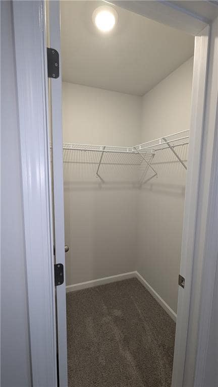 Building Photo - 427 Lanier Cir