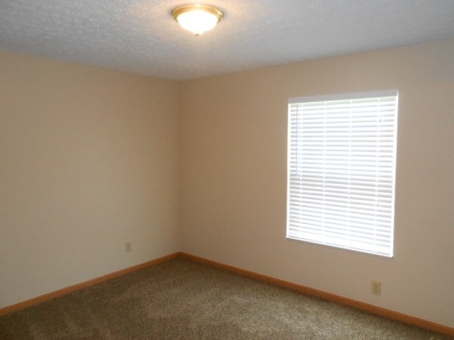 Building Photo - 151 Purple Finch Loop