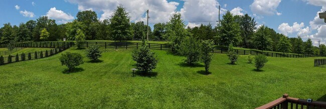 Building Photo - **RARE, EXECUTIVE HOME ON OVER HALF AN ACR...