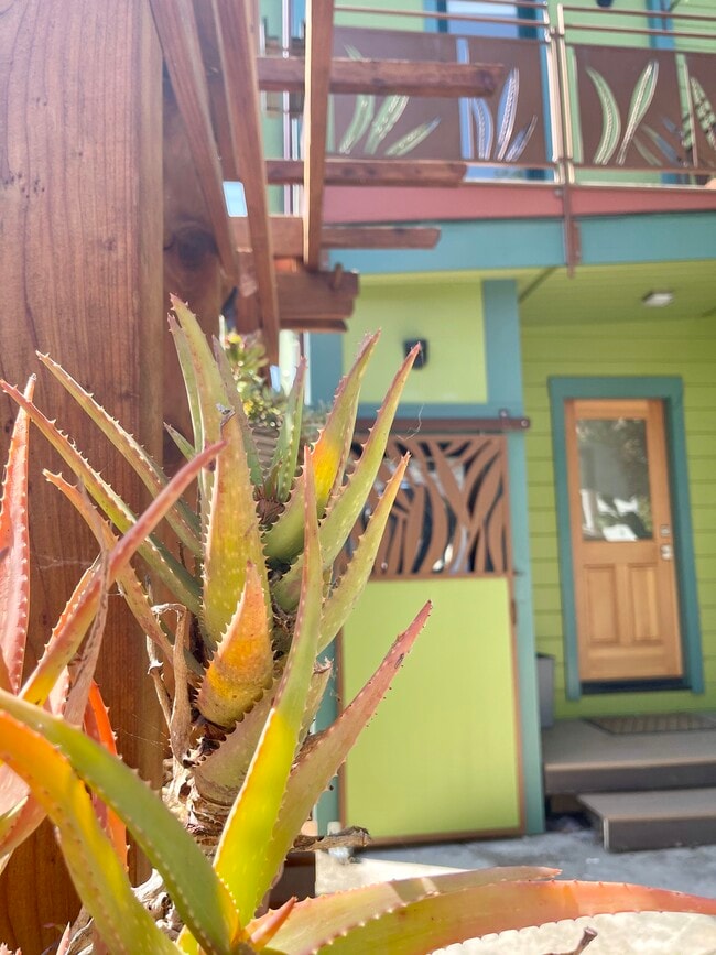 Outdoor patio, 2nd of 2 private entrances (back) - 3918 Webster St