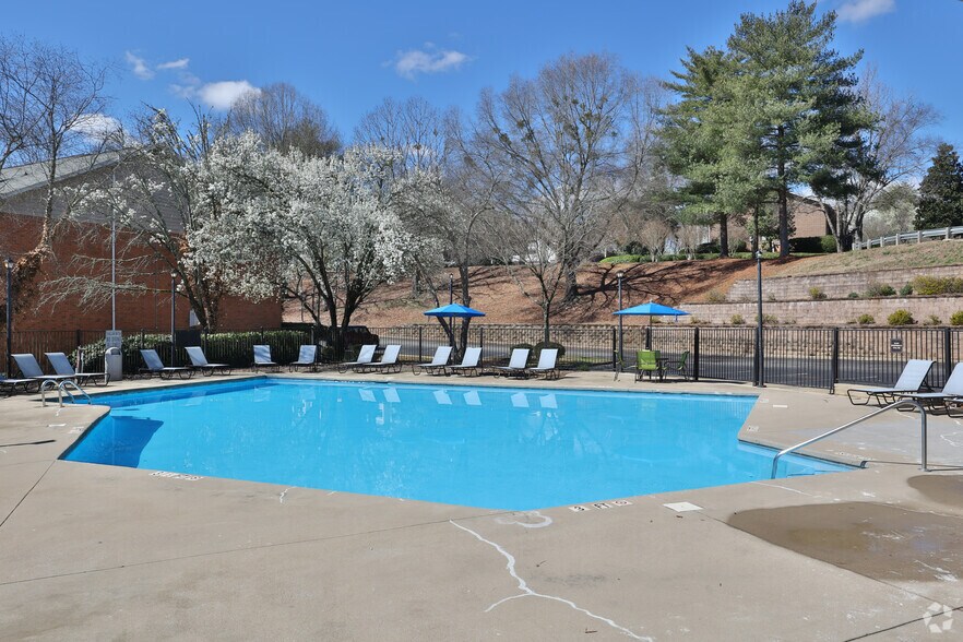 Pool - zCobalt Springs