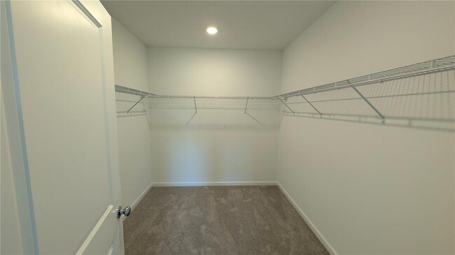 Building Photo - 3094 Chantilly Dr