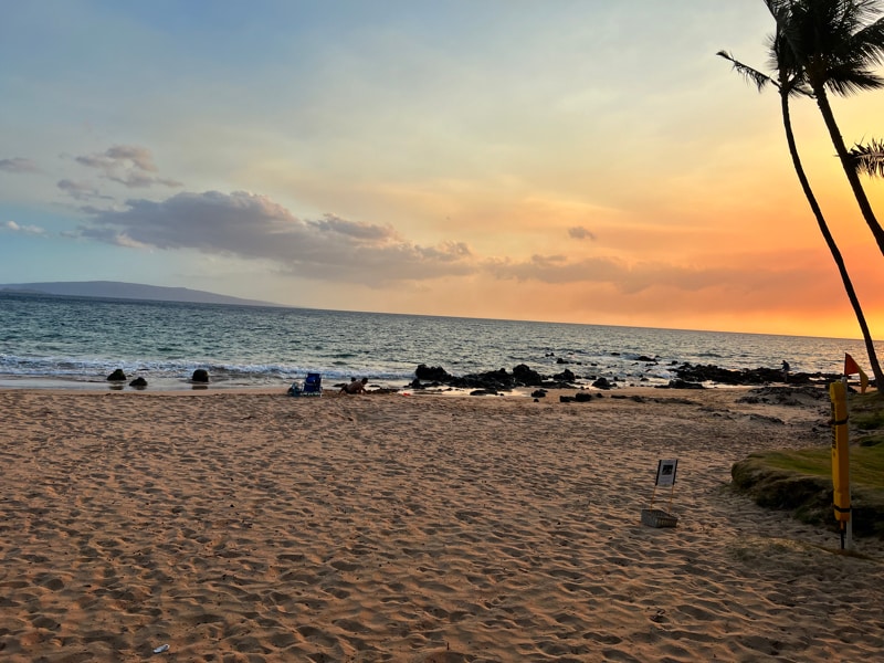 Building Photo - 293 Alaume St