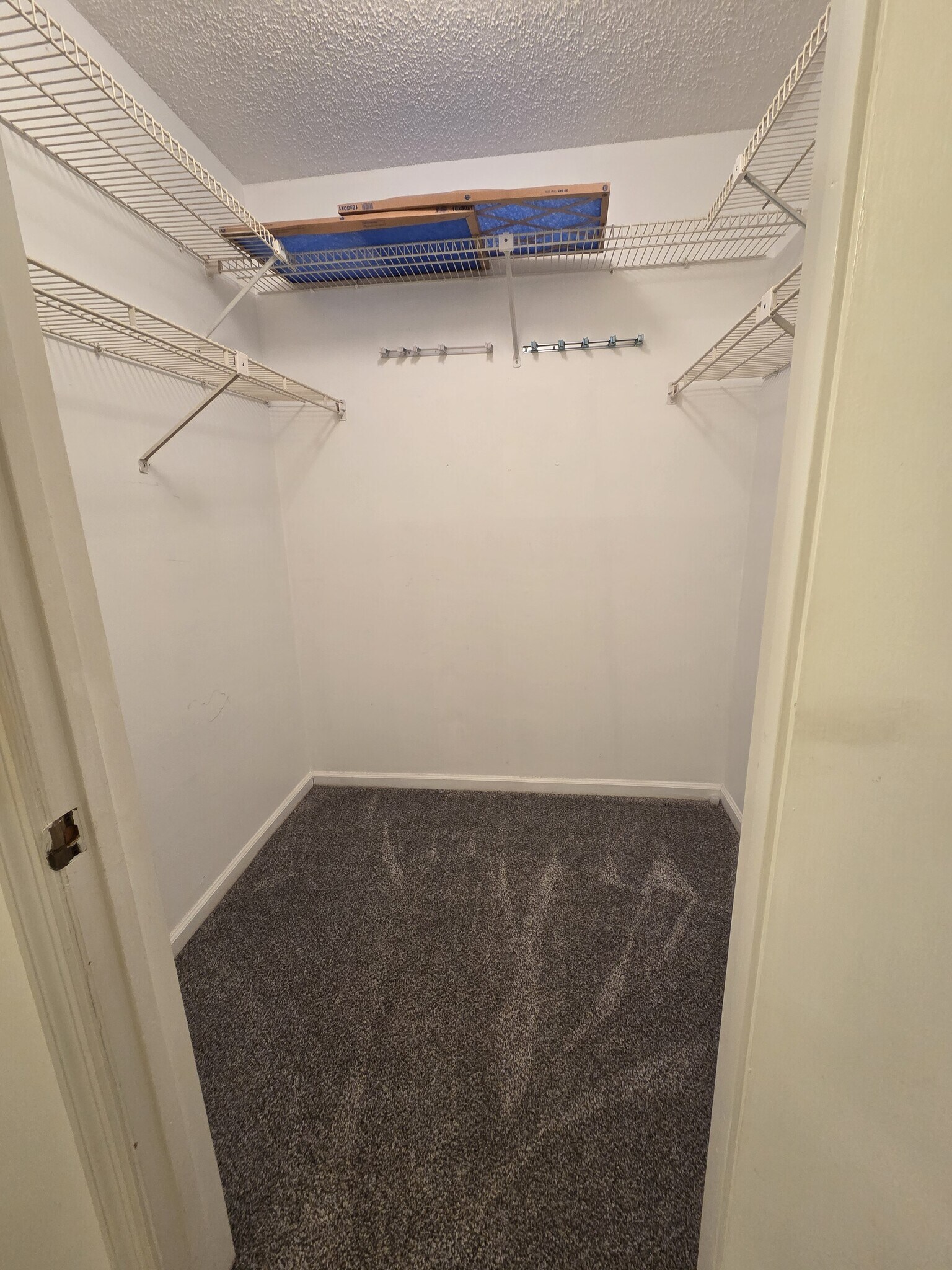 Walk-In Closet - 35086 Whispering Oaks Blvd
