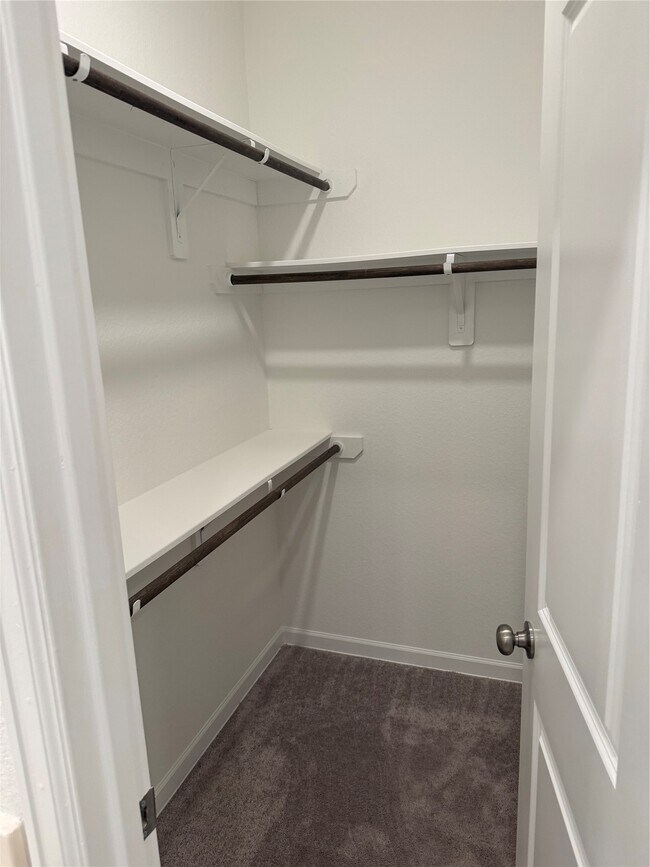 Building Photo - 2911 Cooper Hawk Ln