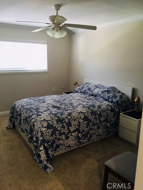 Building Photo - 897 Ronda Sevilla