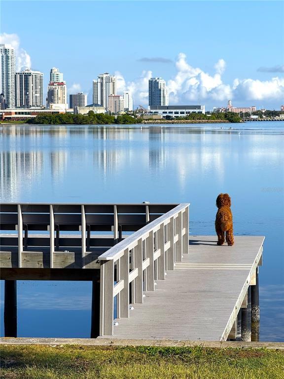 Primary Photo - 377 22nd Ave SE