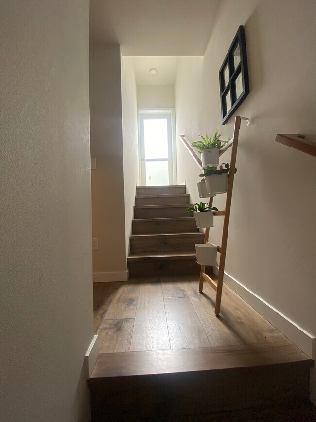 Rooftop Access - 207 16th Ave