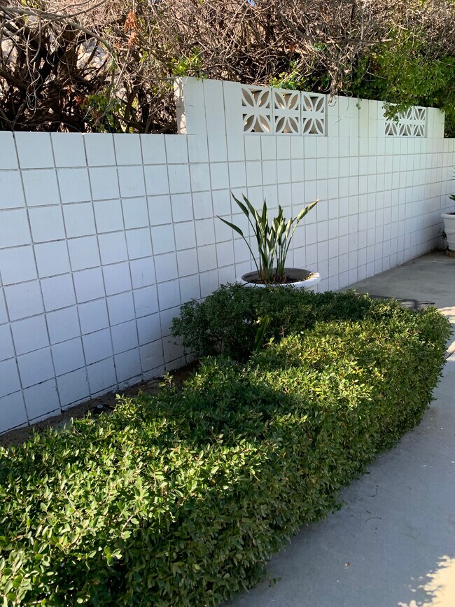 Backyard - 835 N Rose Ave