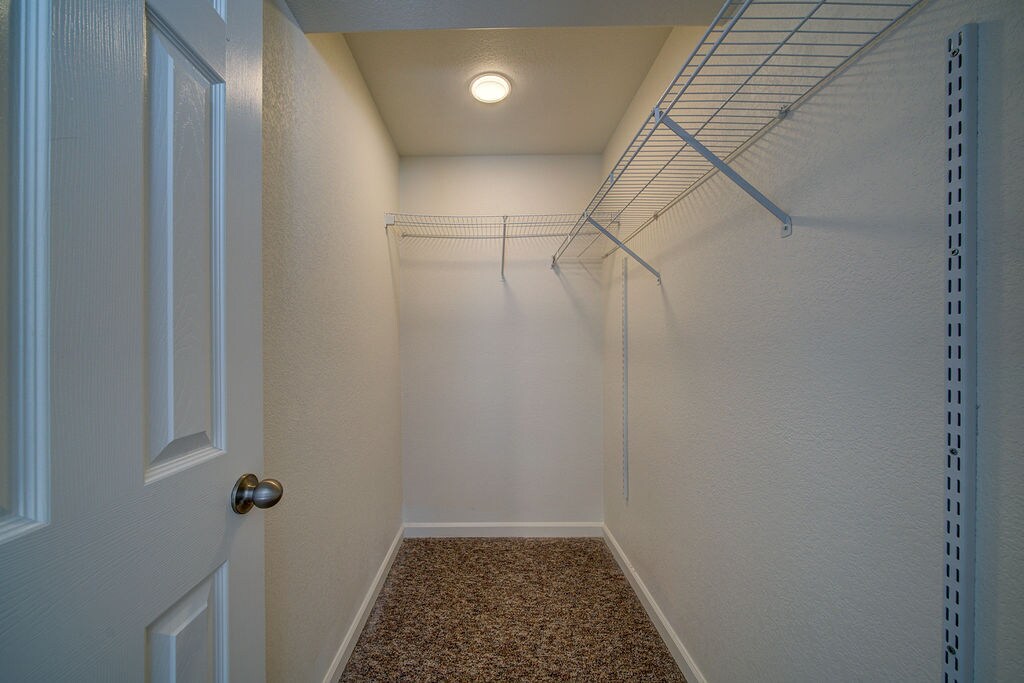 Basement Bedroom Closet - 12643 Pine Valley Cir