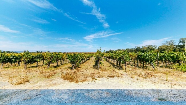 Building Photo - Country Charm Meets Vineyard Views! Two Be...