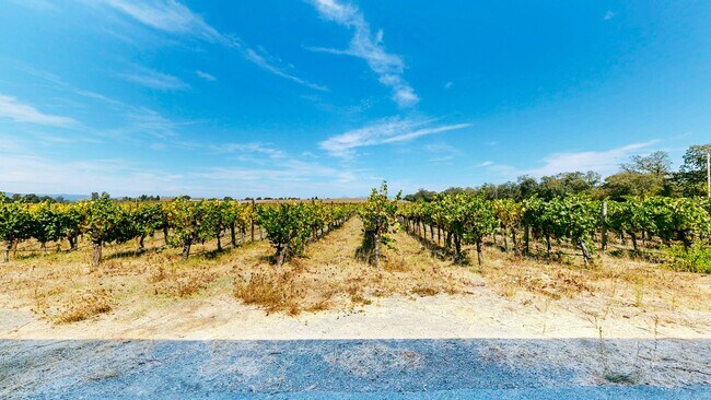 Building Photo - Country Charm Meets Vineyard Views! Two Bedroom Two bath with room to relax!