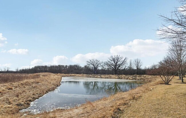 Building Photo - 1147 Piccolo Ln