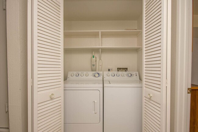 Building Photo - Spacious Dual-Master Condo!
