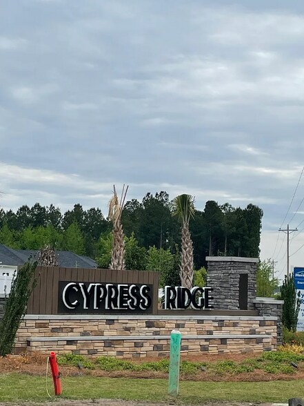 Building Photo - 619 Cypress Preserve Cir