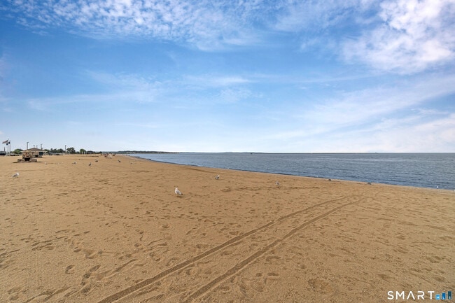 Building Photo - 115 Short Beach Rd