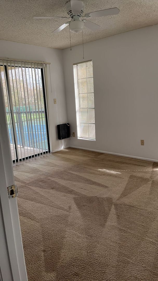 Building Photo - Charming One Bedroom for Rent in Tampa!