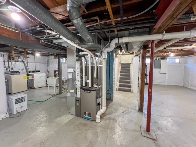 Basement - 236 Arden St