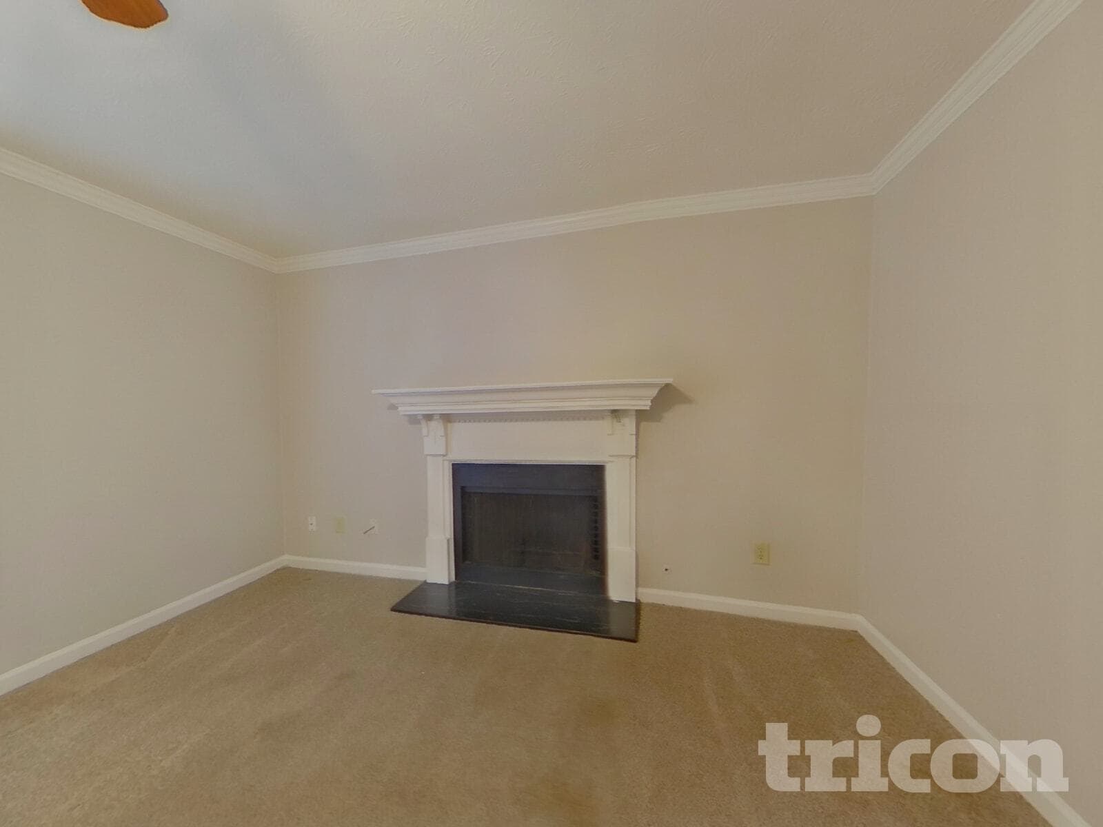 Building Photo - 1234 Shelton Way