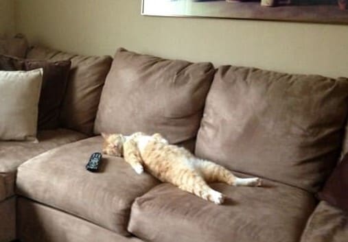 Building Photo - 3020 Regency Ct