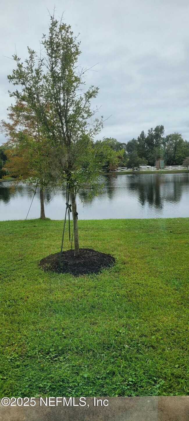 Building Photo - 894 Observatory Pkwy