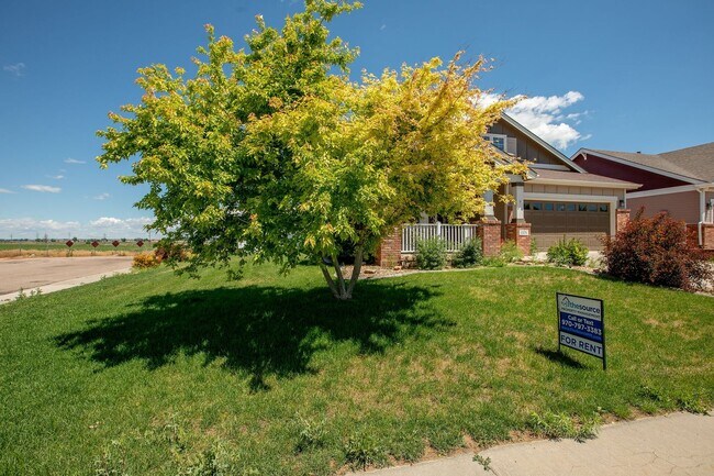 Building Photo - 5 Bedroom Home in Windsor Colorado