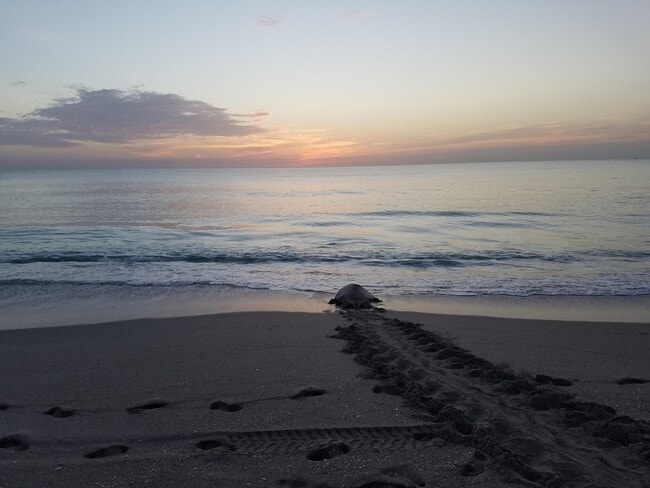 Building Photo - 274 Seabreeze Cir