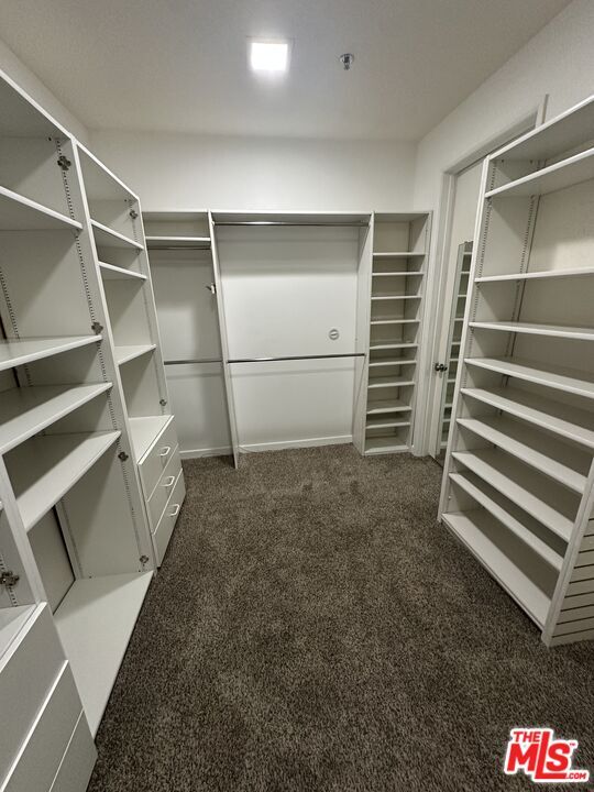 Building Photo - 2122 Century Park Ln