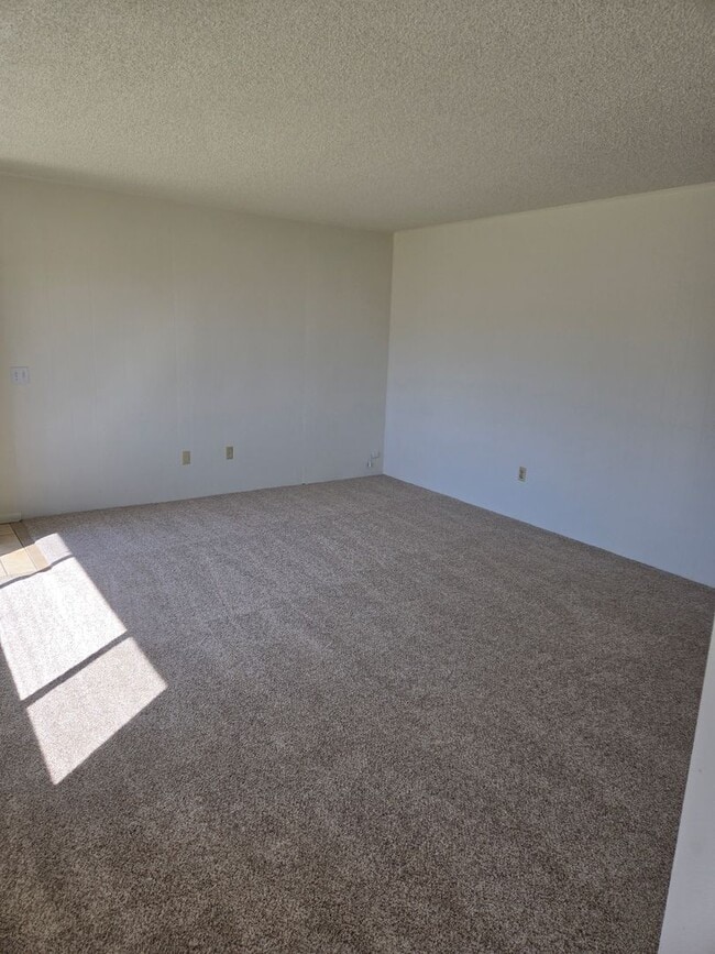 Building Photo - 224