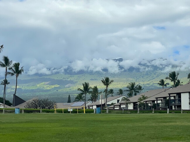 Building Photo - 679 S Kihei Rd