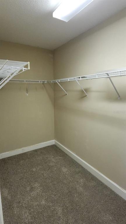 Building Photo - 9143 Lake Avon Dr