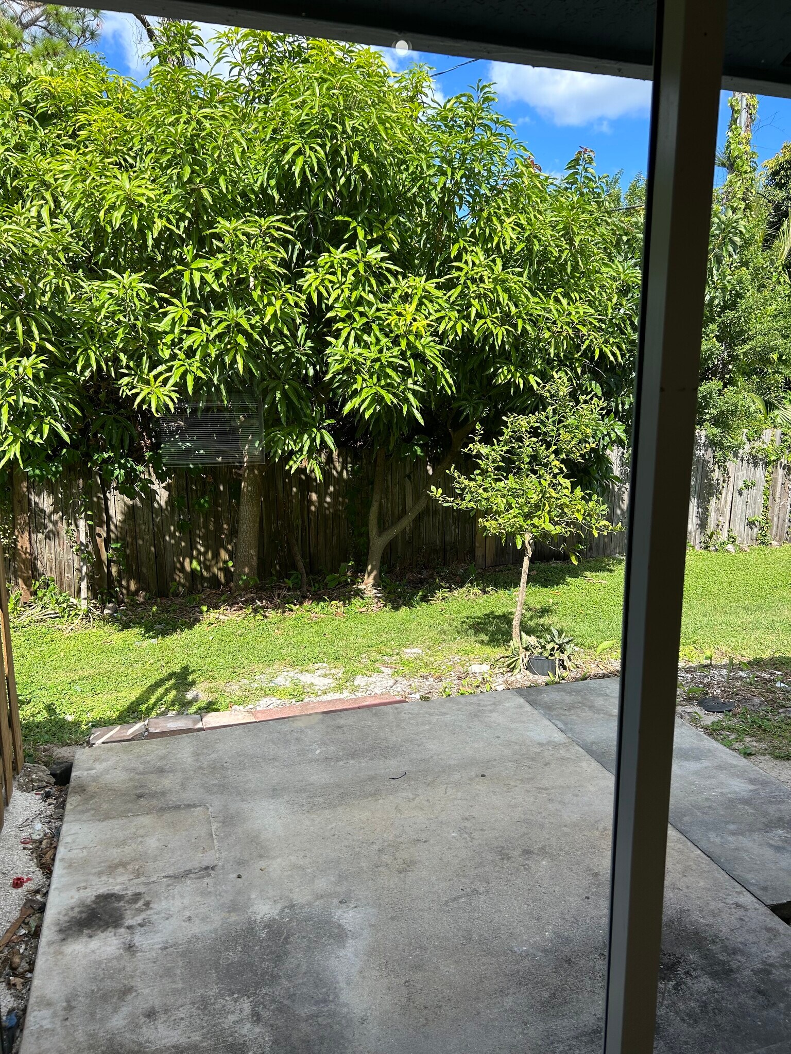 Back yard and patio - 2677 SE Delmar St