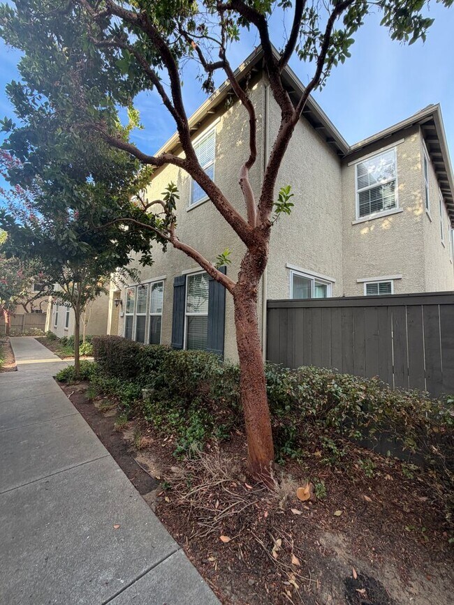 Building Photo - 9026 Crescenda Ln