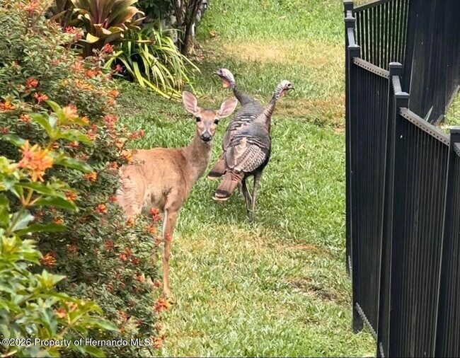 Building Photo - 7032 River Run Blvd