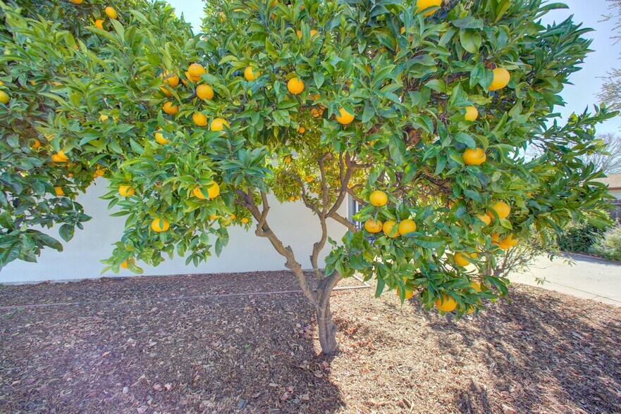 Building Photo - 1282 W Newport St