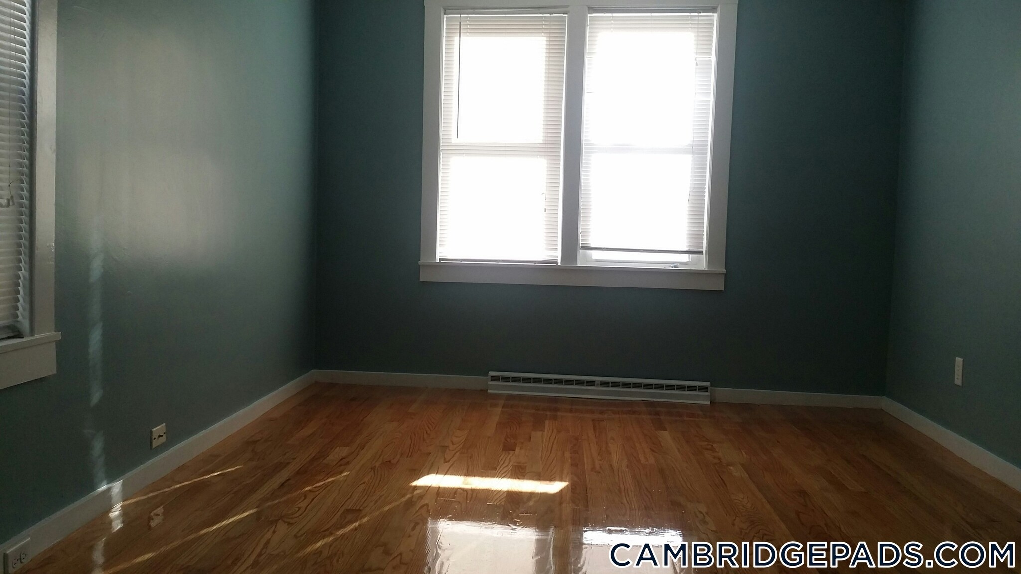 Building Photo - 173 Rindge Ave