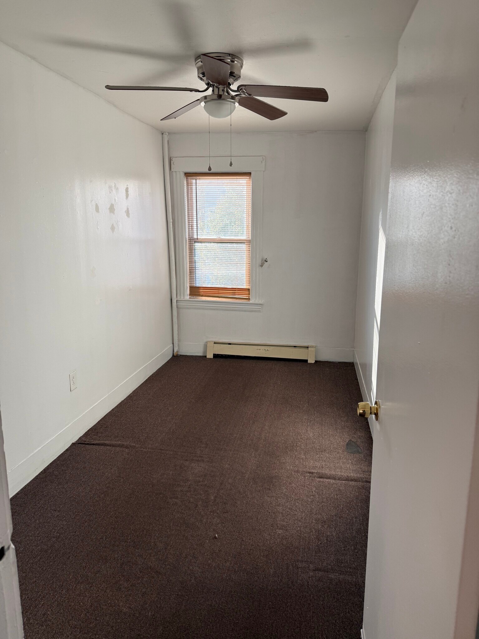 Building Photo - 255 Millbury St