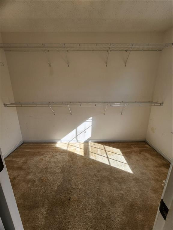 Building Photo - 4031 Hill Station Ct
