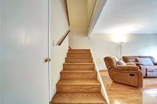 Building Photo - 396 Miraleste Dr