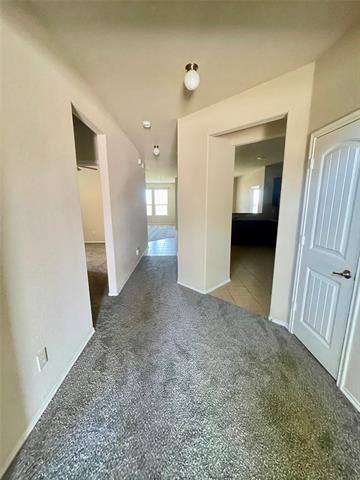 Building Photo - 507 Lipizzan Ln