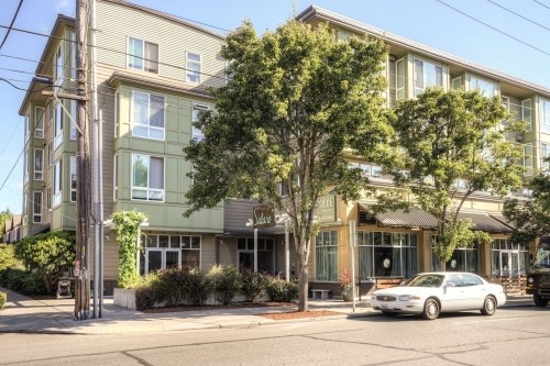 Building Photo - Saxe Apartments - Studio + extra room