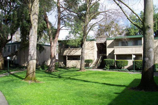 Building Photo - The Redwoods at Mather Station